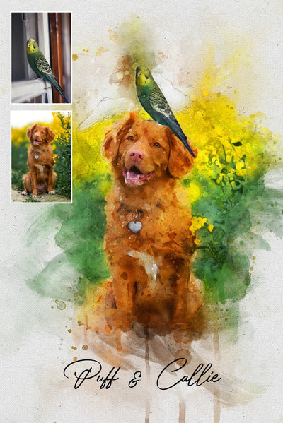 Pet Portrait